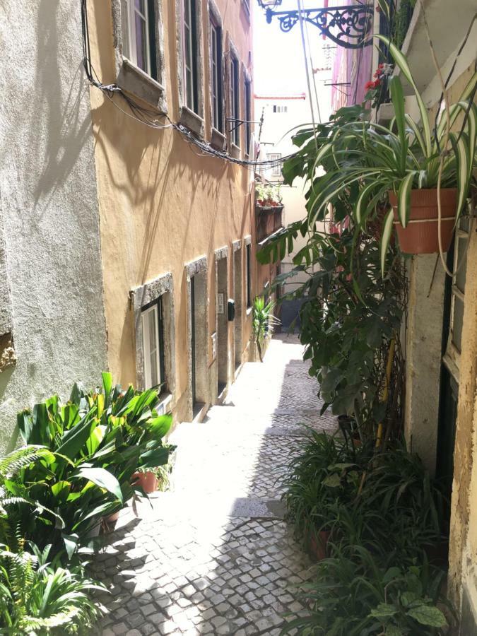 Casa Da Saudade, A Cozy Apartment In Alfama Lisbon Luaran gambar